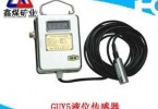 GUY5投入式液位传感器 水位传感器价格